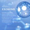 Medicube Zero Exosome Shot 2,000 PPM Spicule Facial Serum  Liquid Skin Booster Serum  Exosome, AHA+BHA+PHA  Pore Care, Dead Skin Cells, Skin Texture  Korean Skin Care 1.01 fl.oz